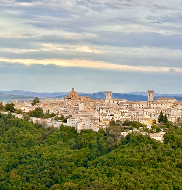 8-arcevia